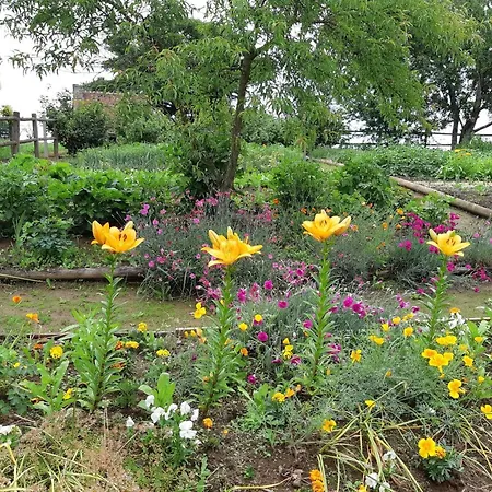 Spacieuse Avec Grand Jardin, Animaux Acceptés - Fr-1-497-99 Saint-Bomer-les-Forges