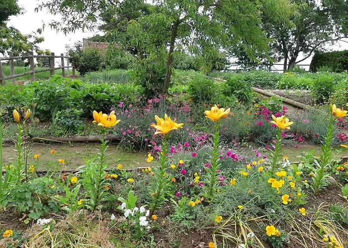 Spacieuse Avec Grand Jardin, Animaux Acceptes - Fr-1-497-99 Saint-Bomer-les-Forges